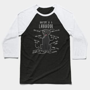Black Labrador Retriever Dog Anatomy Baseball T-Shirt